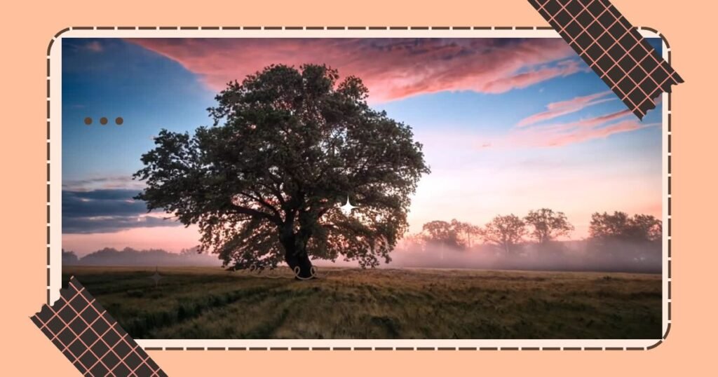 Area Code 437 Text Messages for Good Morning